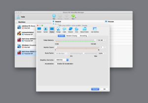 kali virtualbox settings +